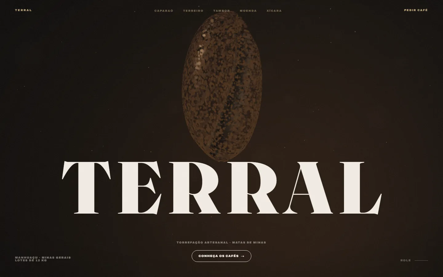 Screenshot do projeto TERRAL