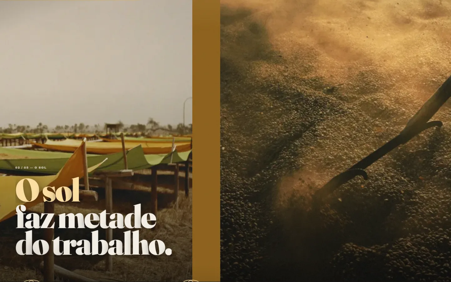Capítulo do Terreiro: o sol faz metade do trabalho, com os terreiros de secagem e a pá revolvendo os grãos